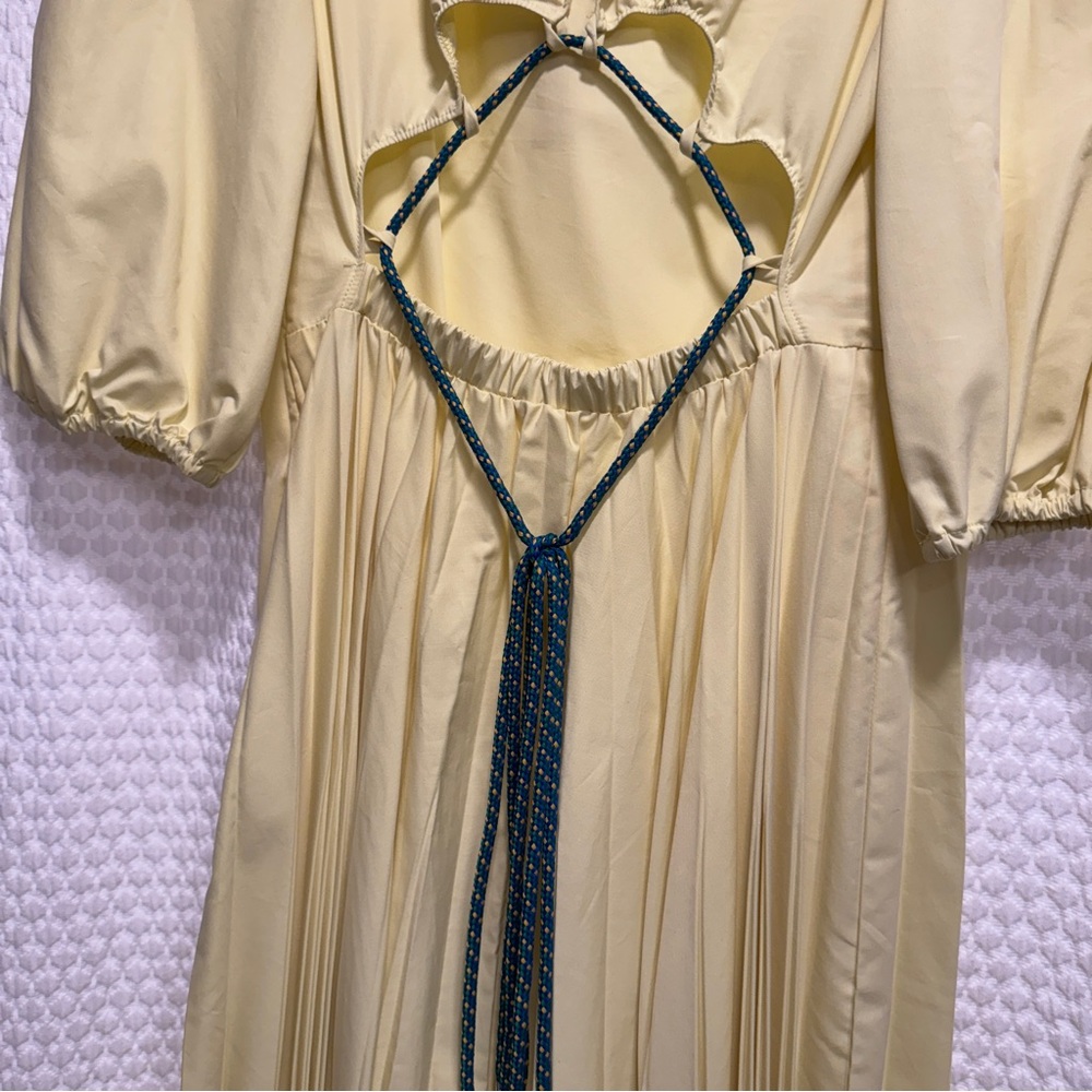 Beatrice B Pleated Yellow Dress - Picture 5 of 15